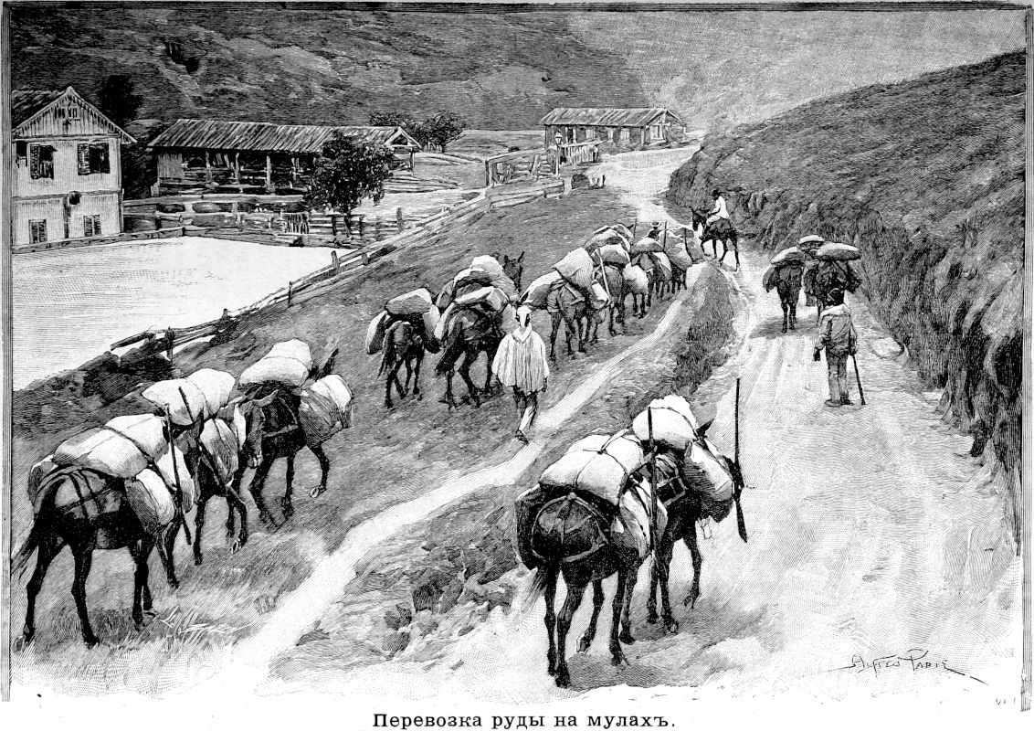 305 Перевозка руды на мулах